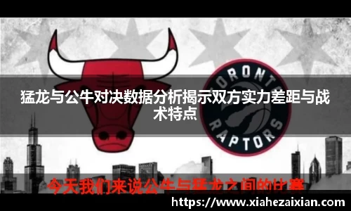 猛龙与公牛对决数据分析揭示双方实力差距与战术特点